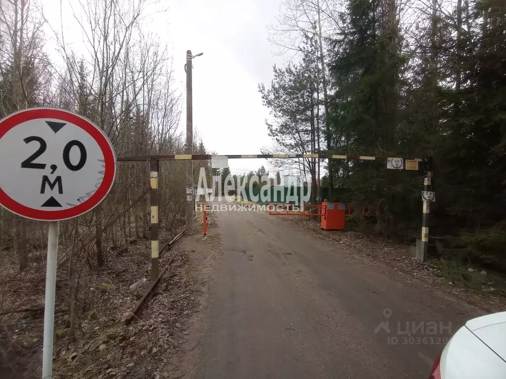 Участок в Ленинградская область, Выборгский район, Рощинское городское ... - Фото 1