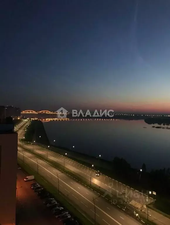 1-к кв. Нижегородская область, Нижний Новгород Волжская наб., 19 (40.6 ... - Фото 2