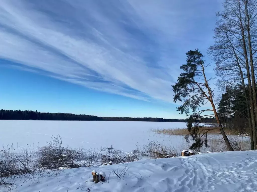 Дом в Ленинградская область, Лужский район, Скребловское с/пос, д. ... - Фото 2