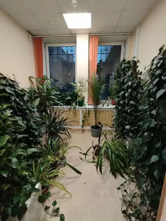 Офис в Санкт-Петербург ул. Достоевского, 15 (464 м) - Фото 1