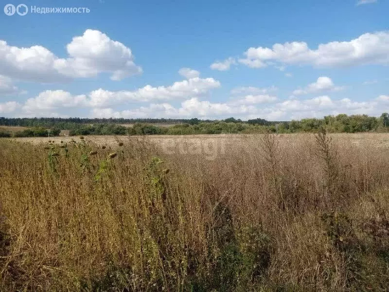 Участок в Хохольский район, село Новогремяченское (7.4 м) - Фото 1