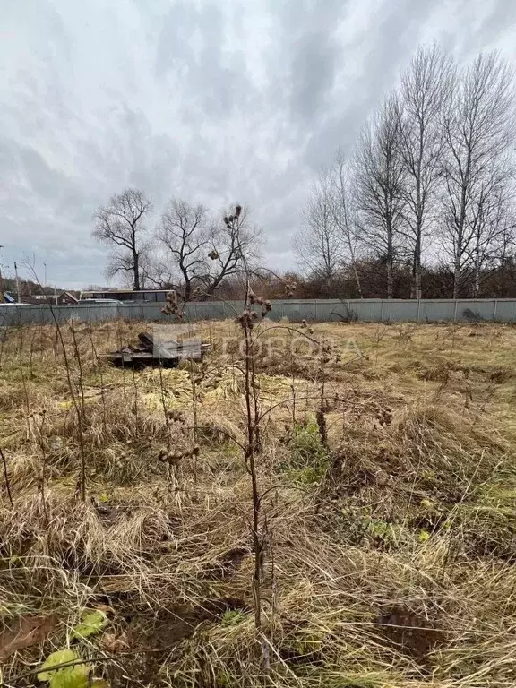 Дом в Алтайский край, Барнаул городской округ, Ползуново ст. ул. ... - Фото 0