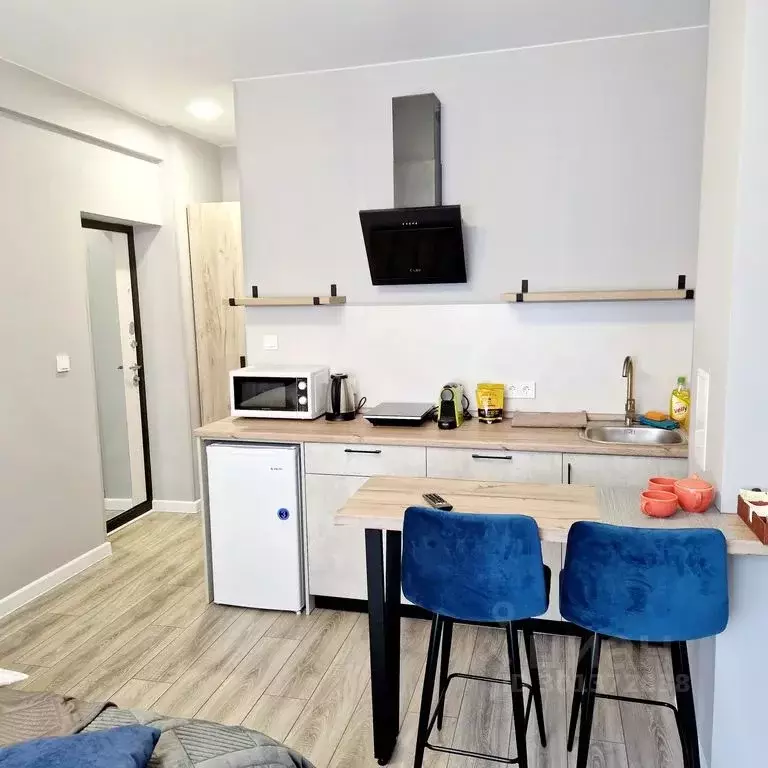 Студия Приморский край, Владивосток Алеутская ул., 12А (20.0 м) - Фото 1