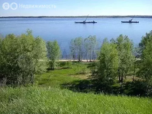 Участок в Терсинское муниципальное образование, село Девичьи Горки ... - Фото 1