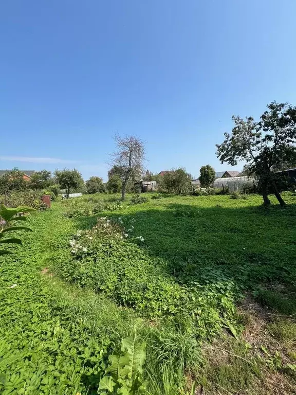 Участок в Тульская область, Алексин Тульская ул. (10.0 сот.) - Фото 1