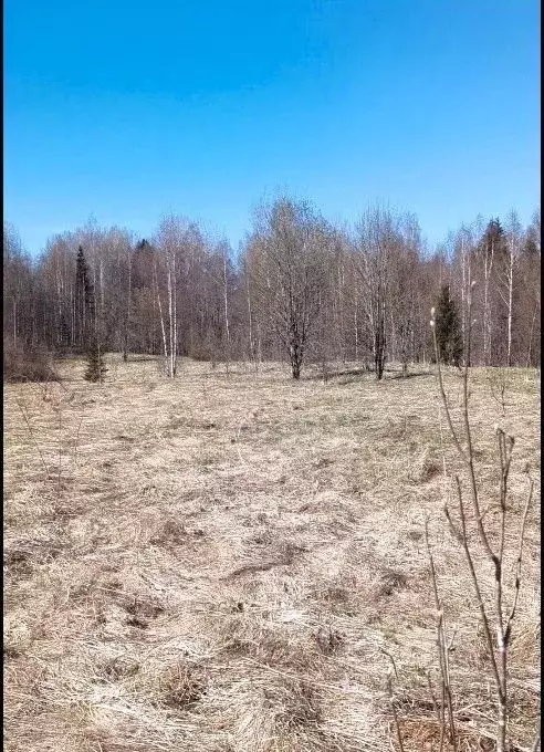 Участок в Новгородская область, Демянский муниципальный округ, д. ... - Фото 2