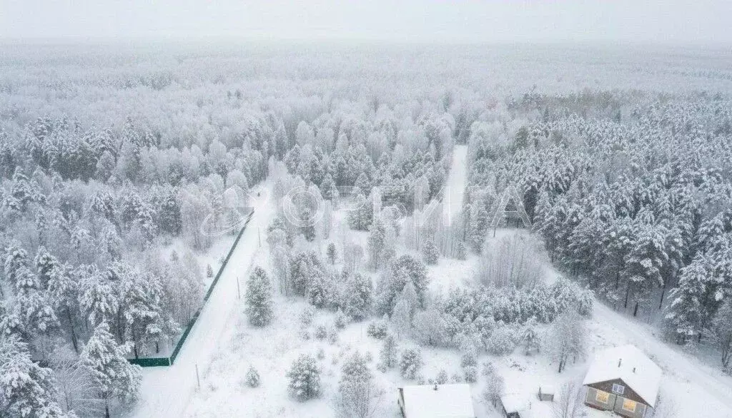 Участок в Тюменская область, Нижнетавдинский муниципальный округ, ... - Фото 1