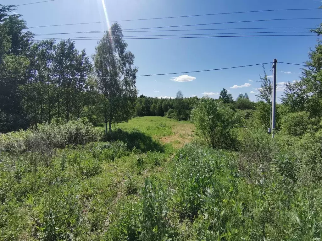 Участок в Московская область, Орехово-Зуевский городской округ, д. ... - Фото 0