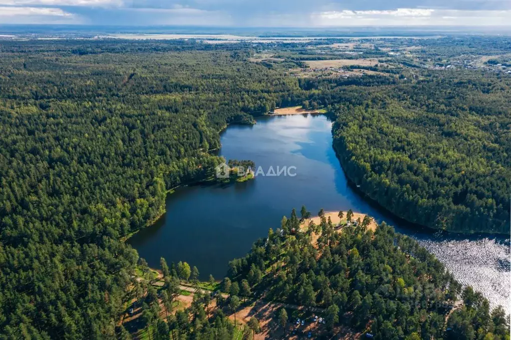 Участок в Ленинградская область, Всеволожский район, Колтушское ... - Фото 1