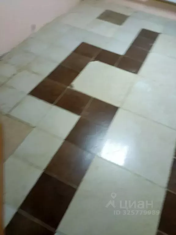 Офис в Краснодарский край, Краснодар ул. Димитрова, 3/2 (13 м) - Фото 2