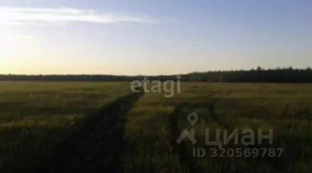 Участок в Саха (Якутия), Якутск городской округ, с. Хатассы  (130.8 ... - Фото 0
