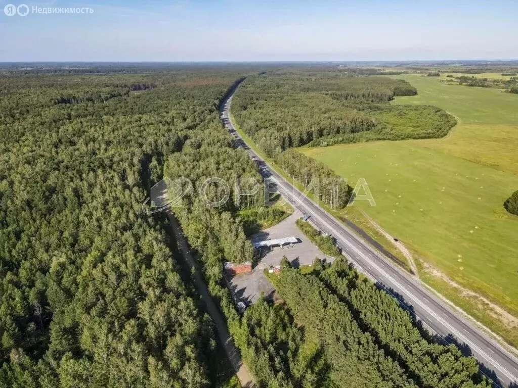 Участок в Тюменская область, Ярковский муниципальный округ, село ... - Фото 2