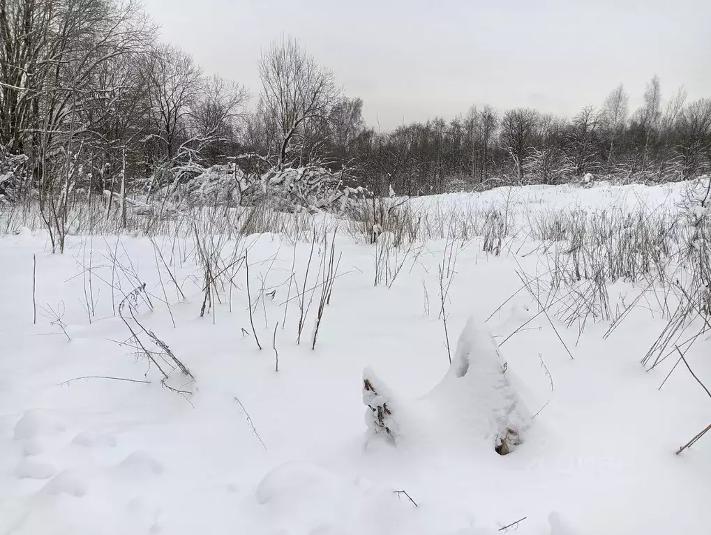 Участок в Московская область, Клин городской округ, д. Парфенькино  ... - Фото 1
