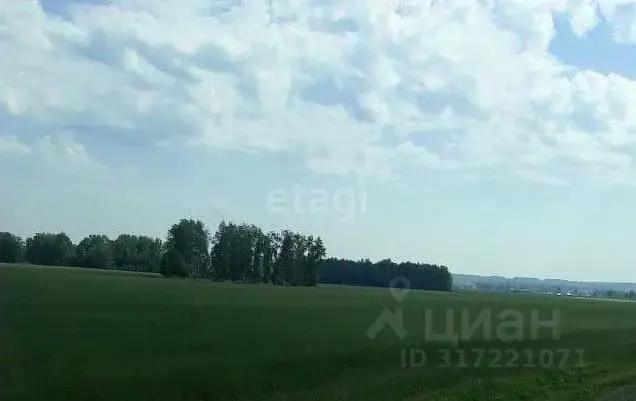 Участок в Курганская область, Далматово  (40000.0 сот.) - Фото 0