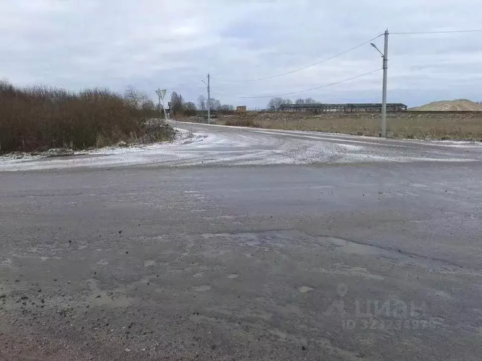 Участок в Псковская область, Псковский район, Тямшанская волость, д. ... - Фото 2
