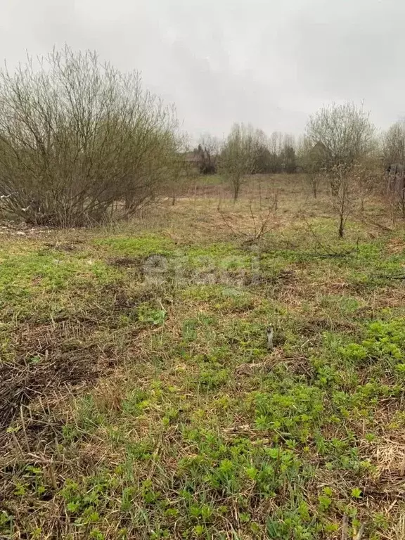 Участок в Свердловская область, Ревда муниципальный округ, с. Мариинск ... - Фото 1