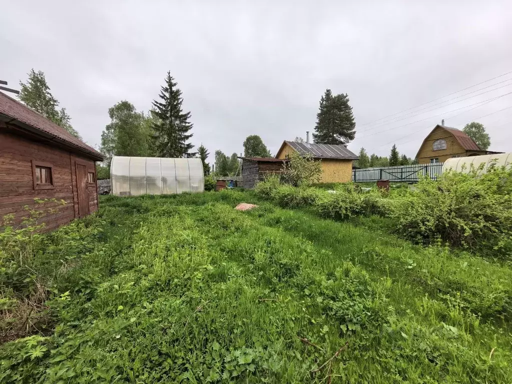 Дом в Архангельская область, Приморский муниципальный округ, Связист ... - Фото 2