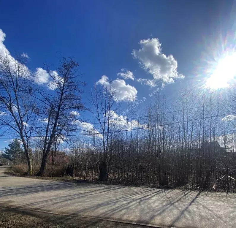 Участок в Санкт-Петербург, Санкт-Петербург, Петергоф ул. Чайковского ... - Фото 1
