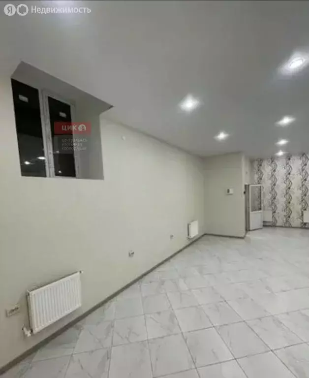 Помещение свободного назначения (67.8 м) - Фото 2