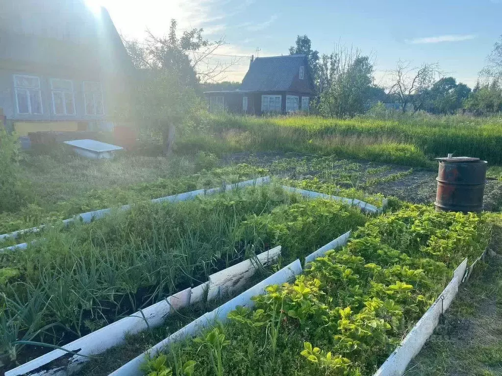 Дом в Ярославская область, Рыбинск Полиграфист-3 СНТ, 129 (45 м) - Фото 1