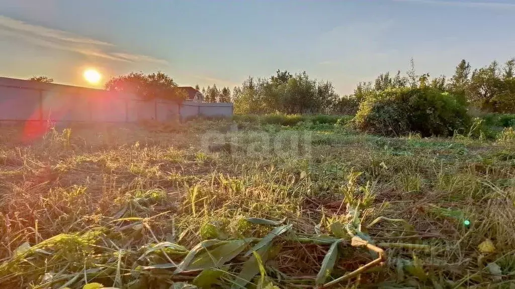 Участок в Ярославская область, Ярославль пос. Сергейцево, ул. Ясная ... - Фото 1