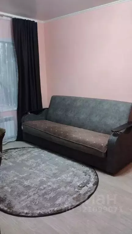 1-к кв. Воронежская область, Борисоглебск ул. Пешкова, 44 (24.0 м) - Фото 1