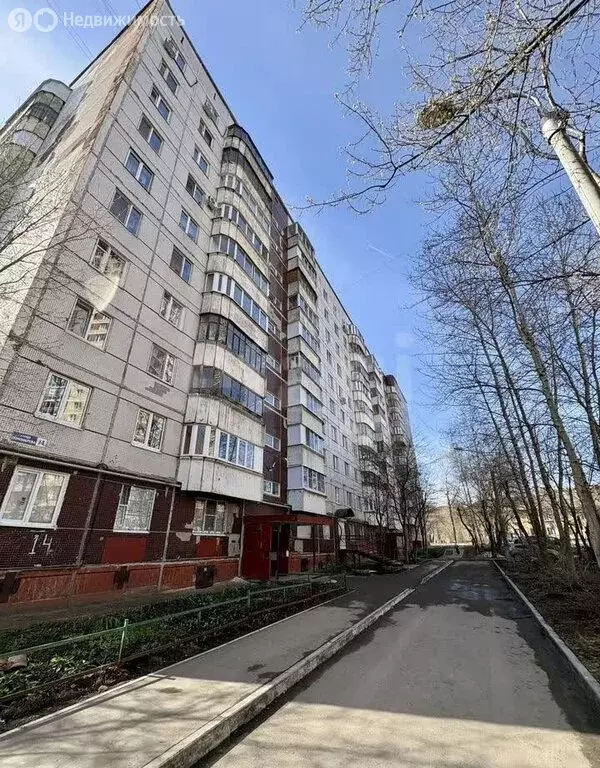 1-комнатная квартира: Пермь, улица Пономарёва, 14 (34 м) - Фото 1