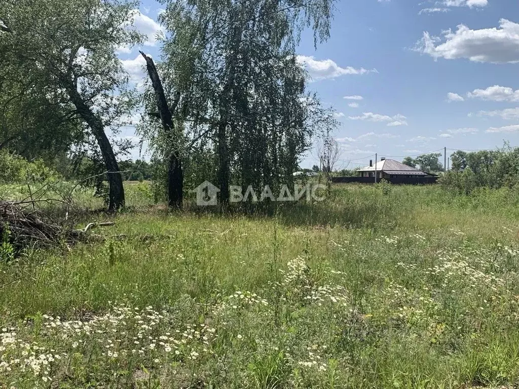 Участок в Воронежская область, Воронеж ул. Славянова (5.2 сот.) - Фото 0