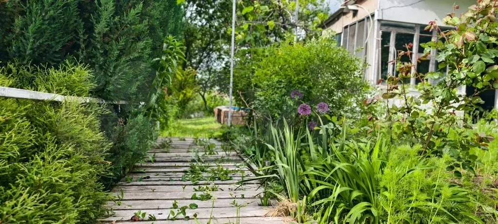 Участок 13,5 сот. (ИЖС) - Фото 0