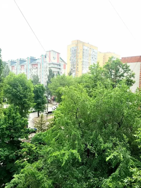 2-комнатная квартира: Воронеж, улица Шишкова, 65 (54.1 м) - Фото 0