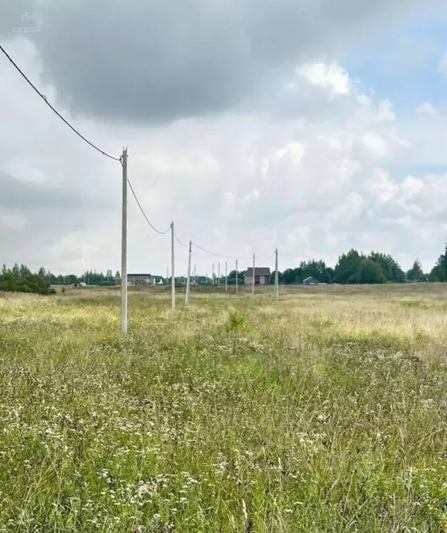 Участок в Новгородская область, Новгородский район, Ракомское с/пос, ... - Фото 1