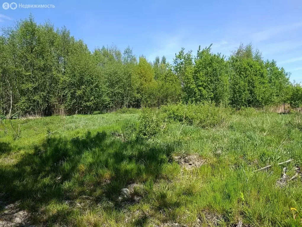 Участок в Калининградская область, Гурьевск (6 м) - Фото 2