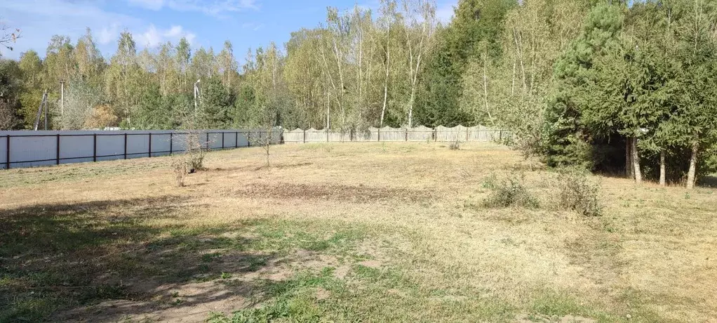 Участок в Владимирская область, Киржачский район, Филипповское ... - Фото 2