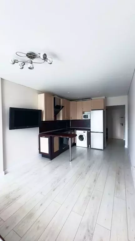 Студия Санкт-Петербург просп. Обуховской обороны, 138к2 (24.5 м) - Фото 1