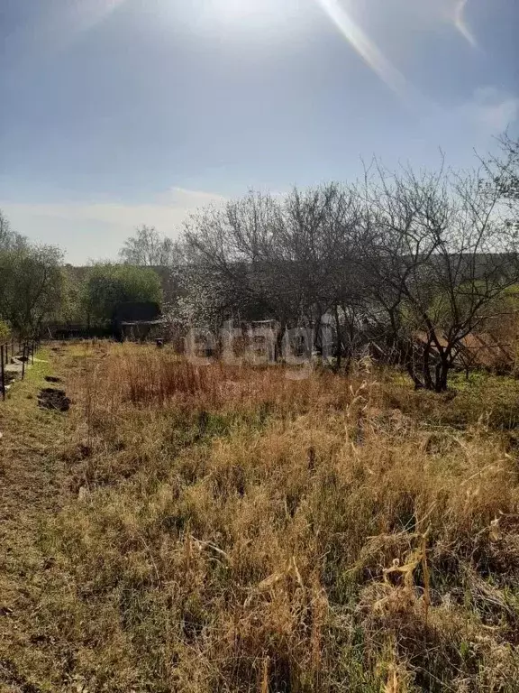 Участок в Амурская область, Благовещенск  (11.07 сот.) - Фото 0