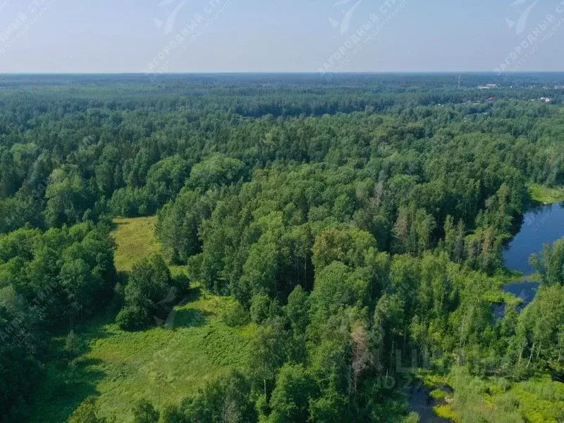 Участок в Ленинградская область, Приозерский район, Мельниковское ... - Фото 0