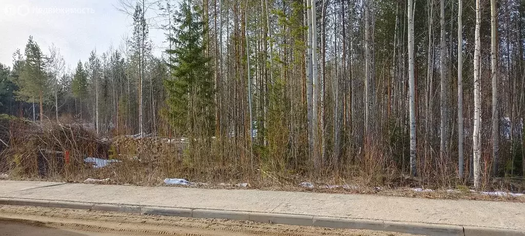 Участок в посёлок городского типа Верхняя Максаковка, Желанная улица ... - Фото 1