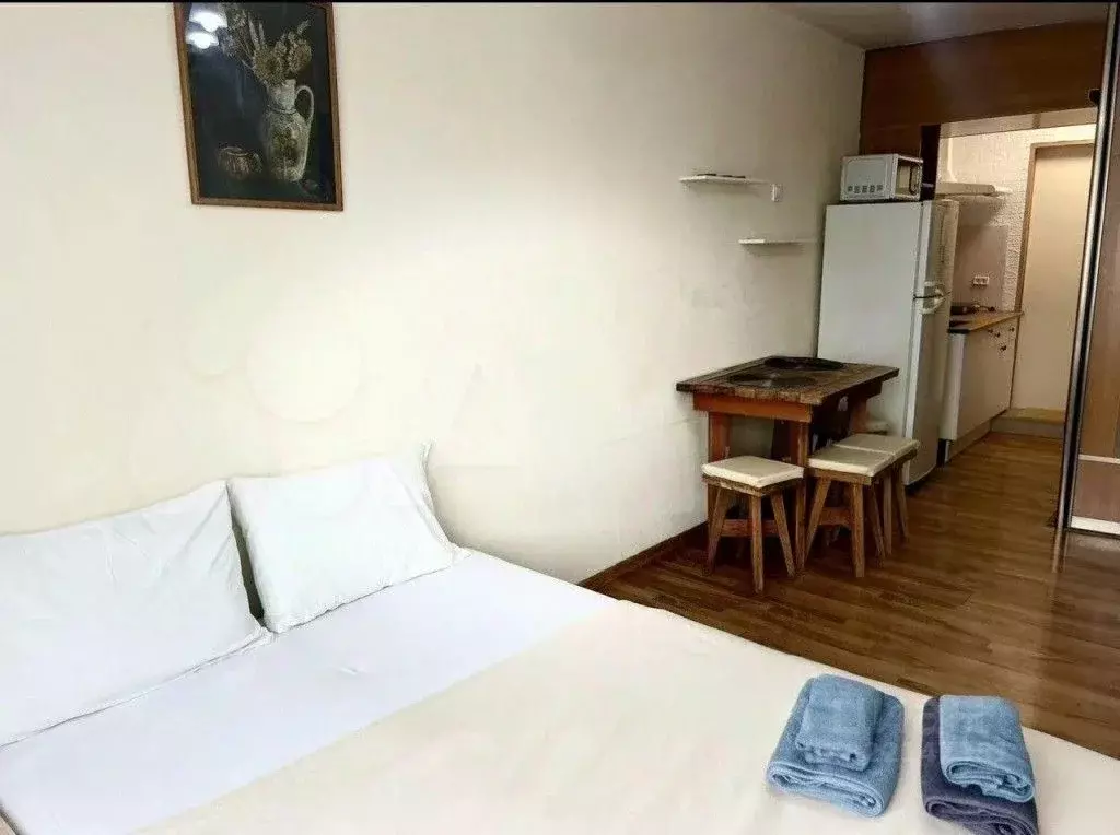 1-к кв. Приморский край, Владивосток Некрасовская ул., 52 (24.0 м) - Фото 2