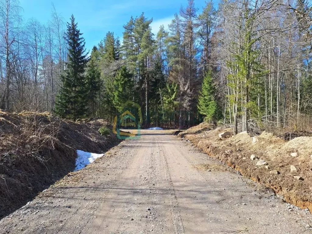 Участок в Ленинградская область, Приозерский район, Сосновское с/пос, ... - Фото 1