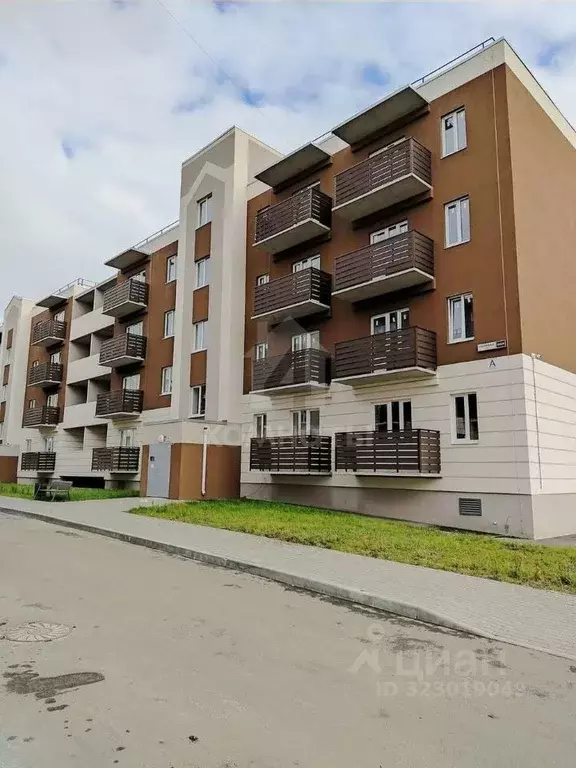 Студия Воронежская область, с. Новая Усмань ул. Полевая, 22 (27.5 м) - Фото 1