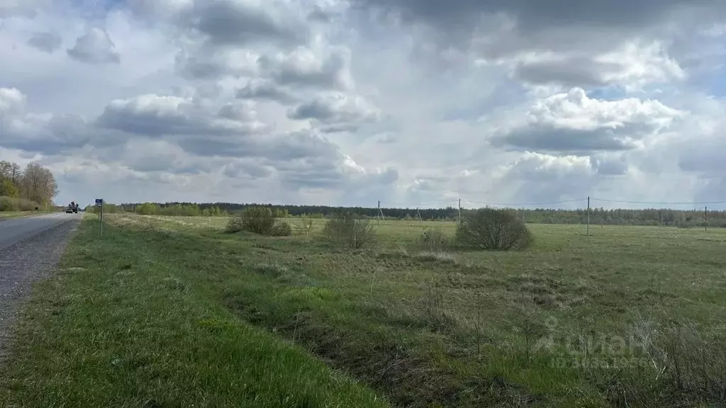 участок в новгородская область, чудовский район, трегубовское с/пос, . - Фото 1