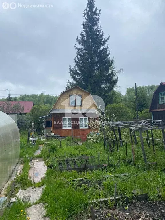 Дом в Раздольненский сельсовет, СНТ Северянка (50 м) - Фото 0