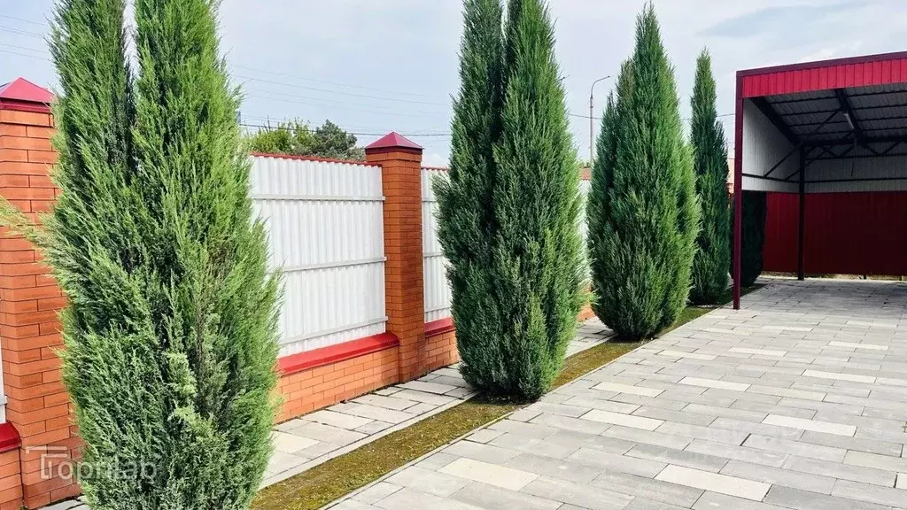 Дом в Ростовская область, Сальск ул. 8 Марта, 1А (200 м) - Фото 1