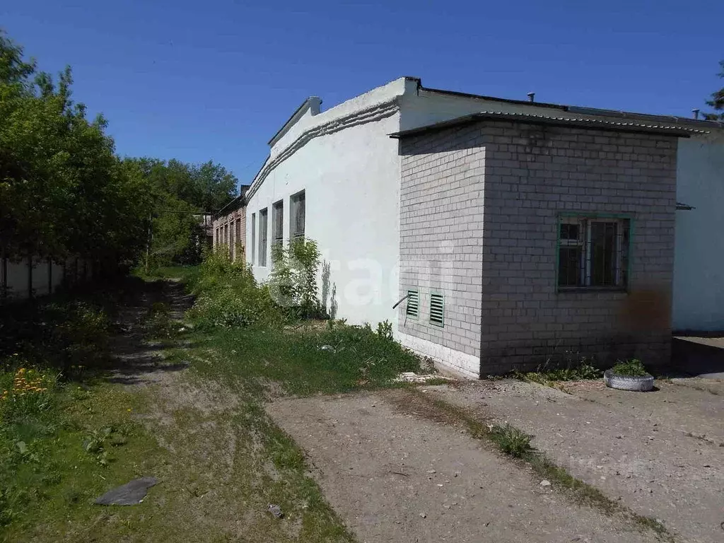 Производственное помещение в Челябинская область, Чебаркуль ул. ... - Фото 1