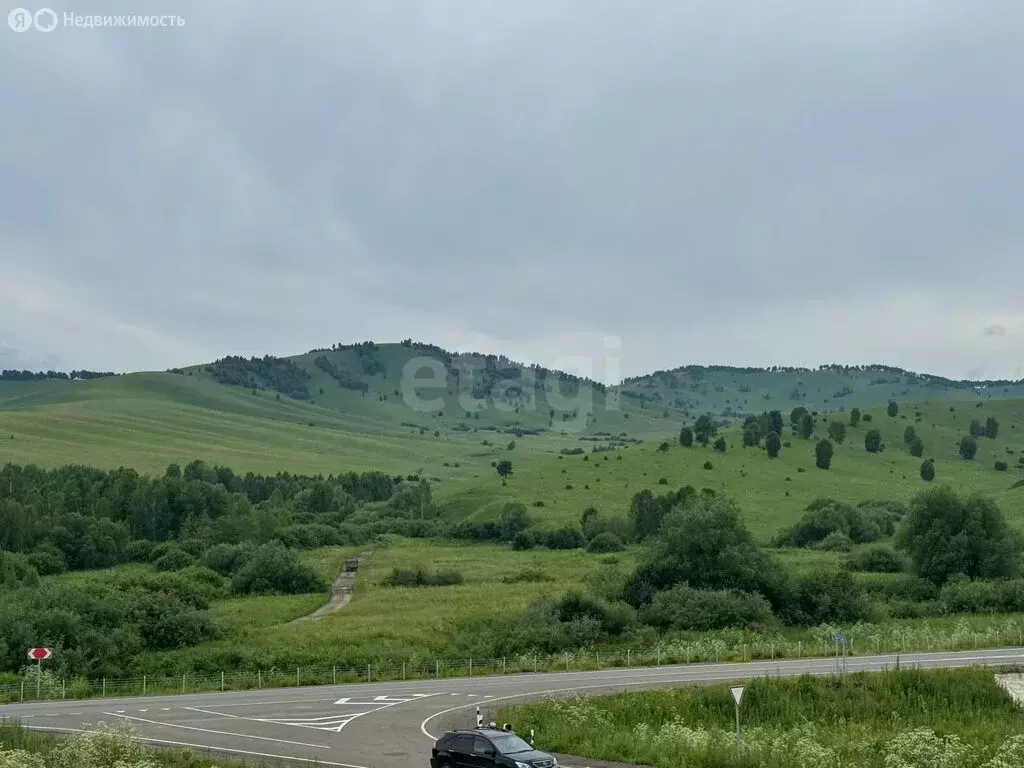 Участок в Алтайский район, ДНТ Жемчужина Алтая (11 м) - Фото 2