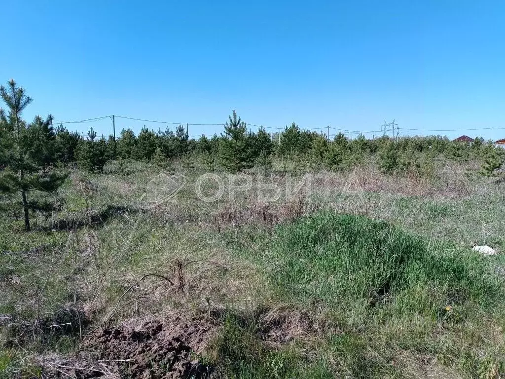 Участок в Тюменская область, Тюменский район, Онегин кп  (8.36 сот.) - Фото 0