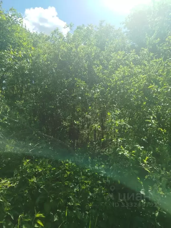 Участок в Московская область, Клин городской округ, д. Сидорково  ... - Фото 1