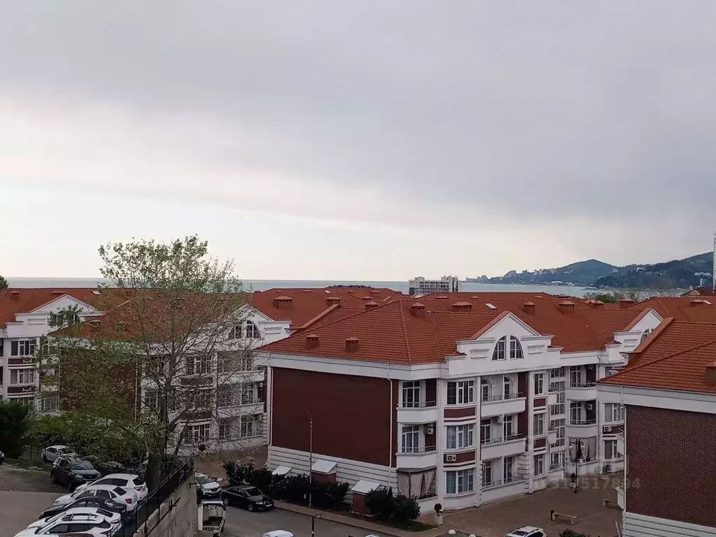 2-к кв. Краснодарский край, Сочи ул. Ленина, 290/7 (44.0 м) - Фото 0