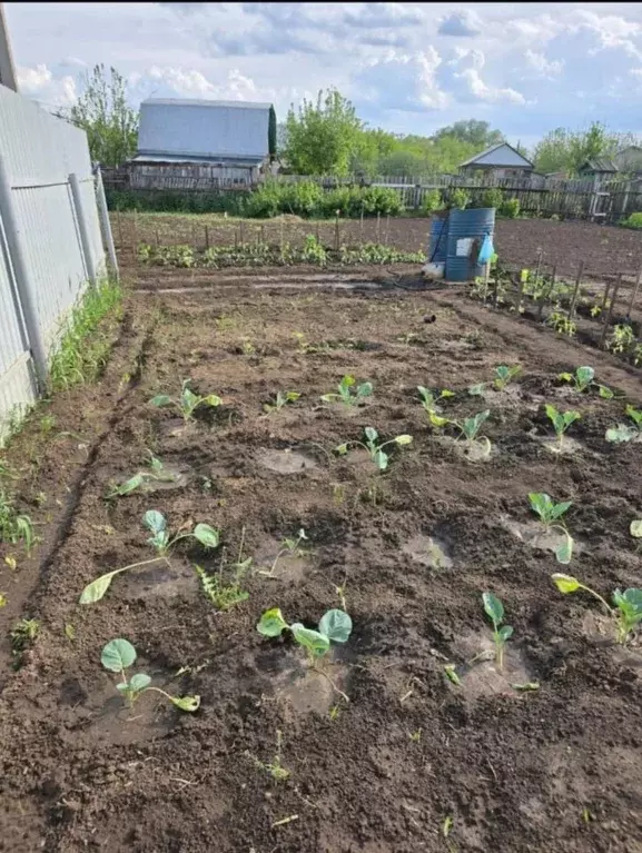 Участок в Башкортостан, Стерлитамакский район, Буриказгановский ... - Фото 1