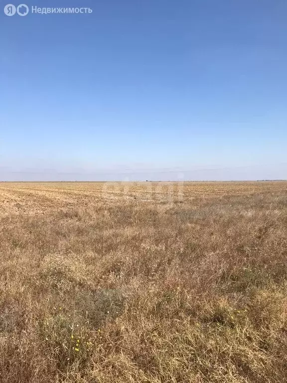 Участок в Сакский район, Штормовское сельское поселение, село ... - Фото 0